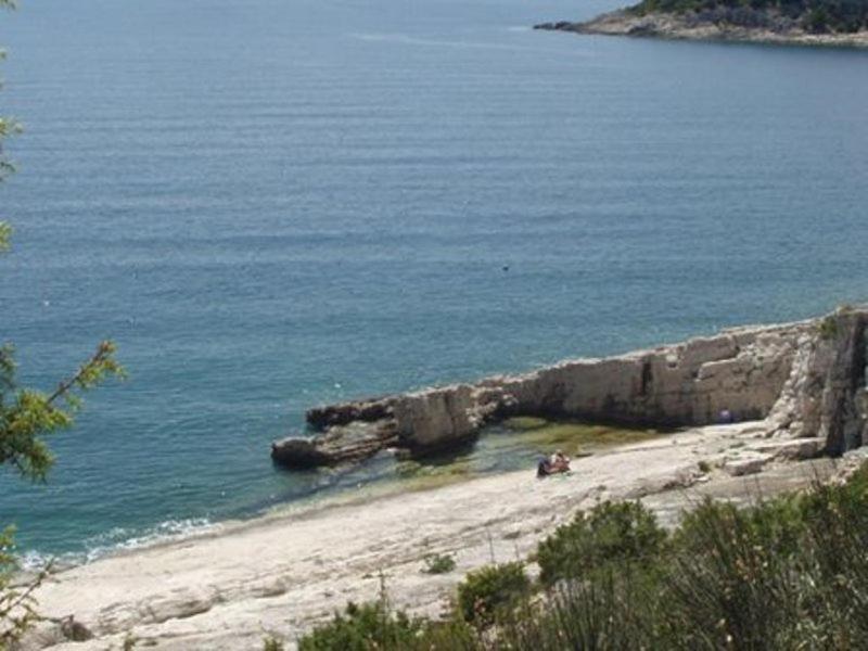Rural Pension Istra Partner Barban Dış mekan fotoğraf